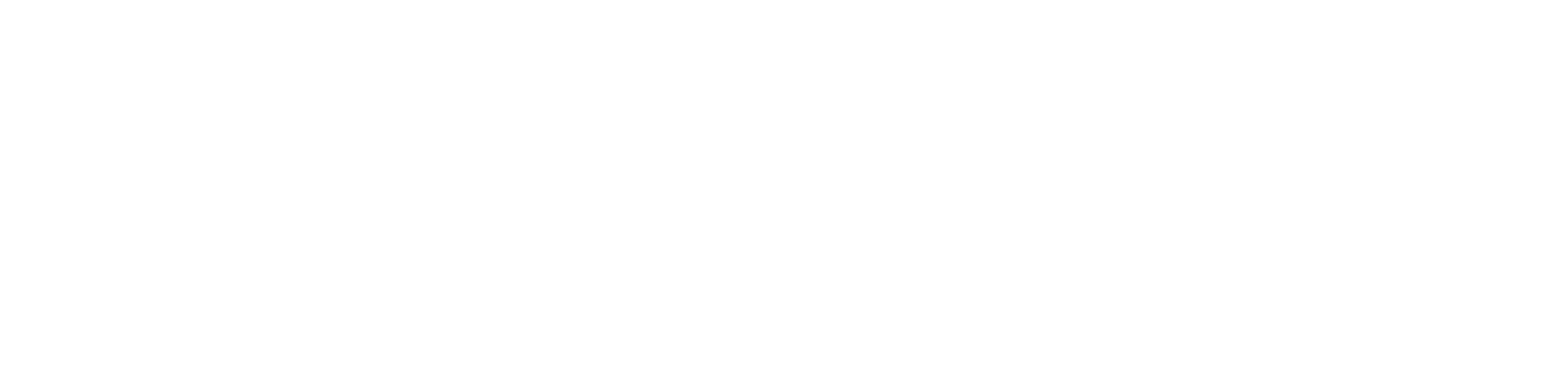 NECRITIC